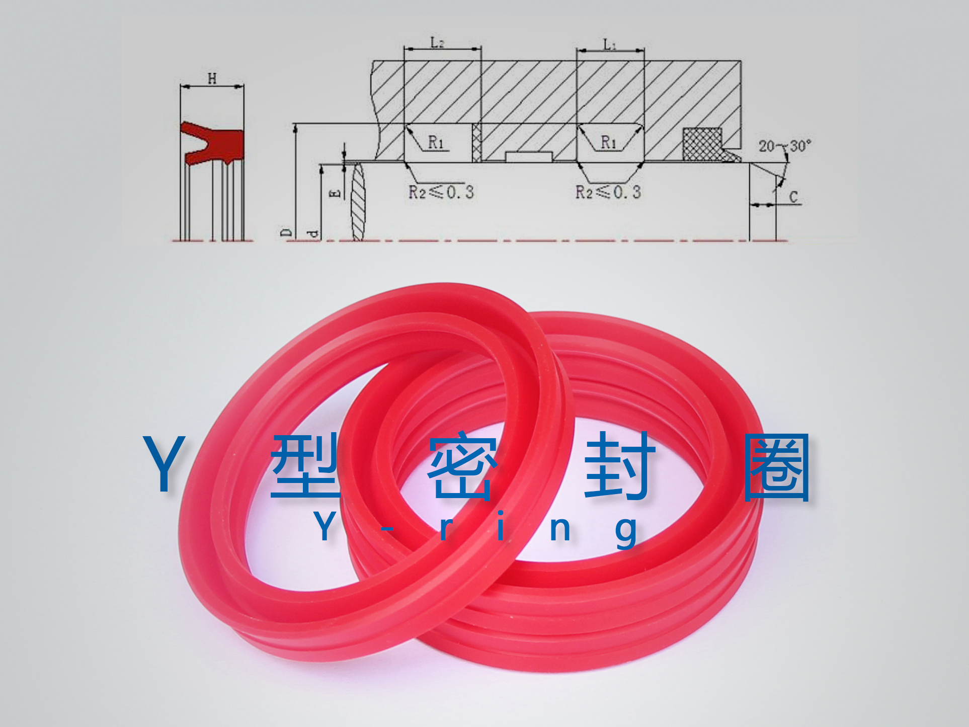 Y型密封圈（密封件、油封）與截面結(jié)構(gòu)產(chǎn)品圖