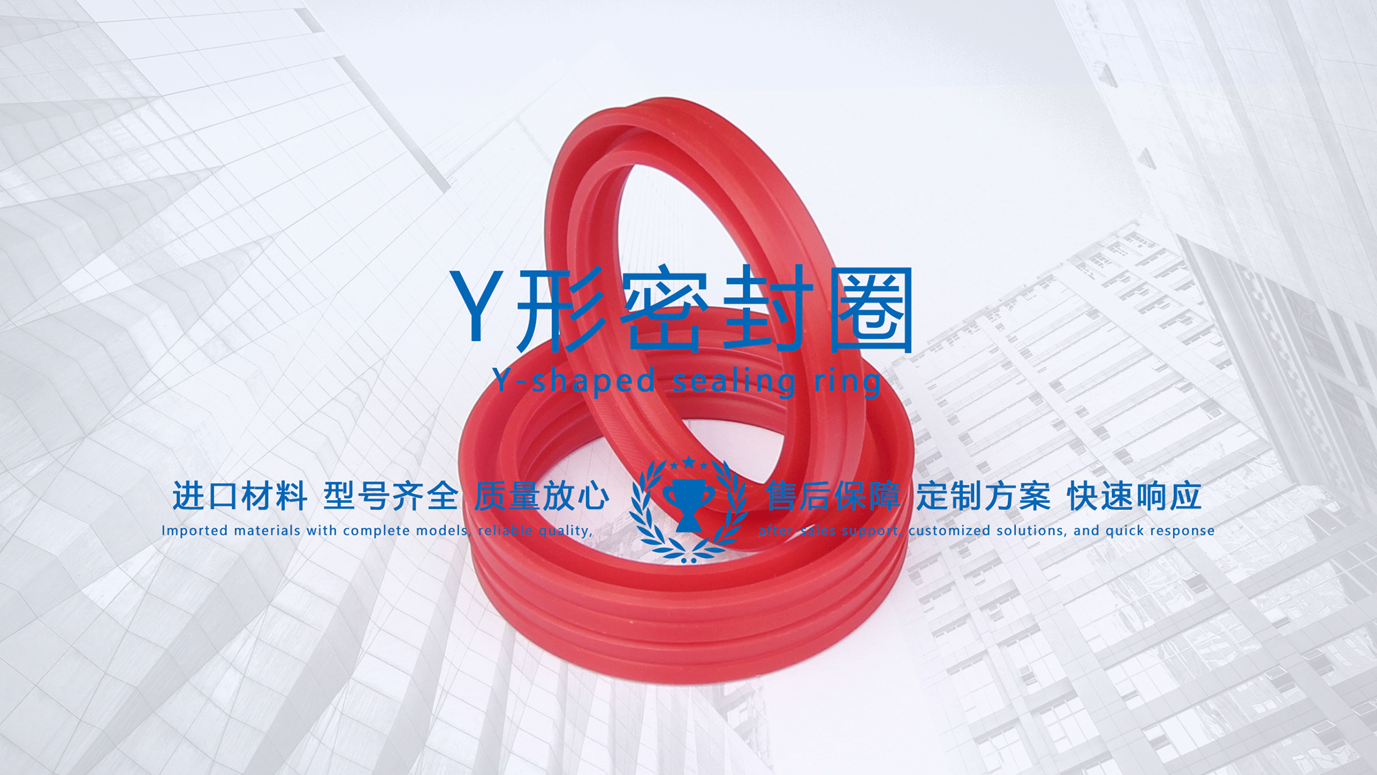 y型密封圈（又Y形密封圈，Y形圈，Y型圖或唇形密封圈，密封件油封膜片） (3)